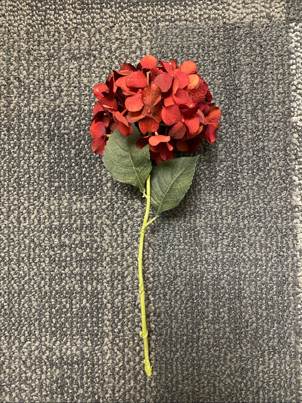 Burgundy Red Hydrangea 13 inch